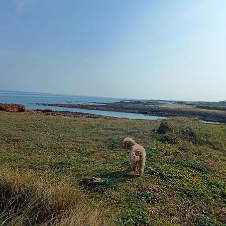 Del Mirto A 300mt Dalla Spiaggia, Parcheggio Privato, Animali Ammessi Torre Santa Sabina